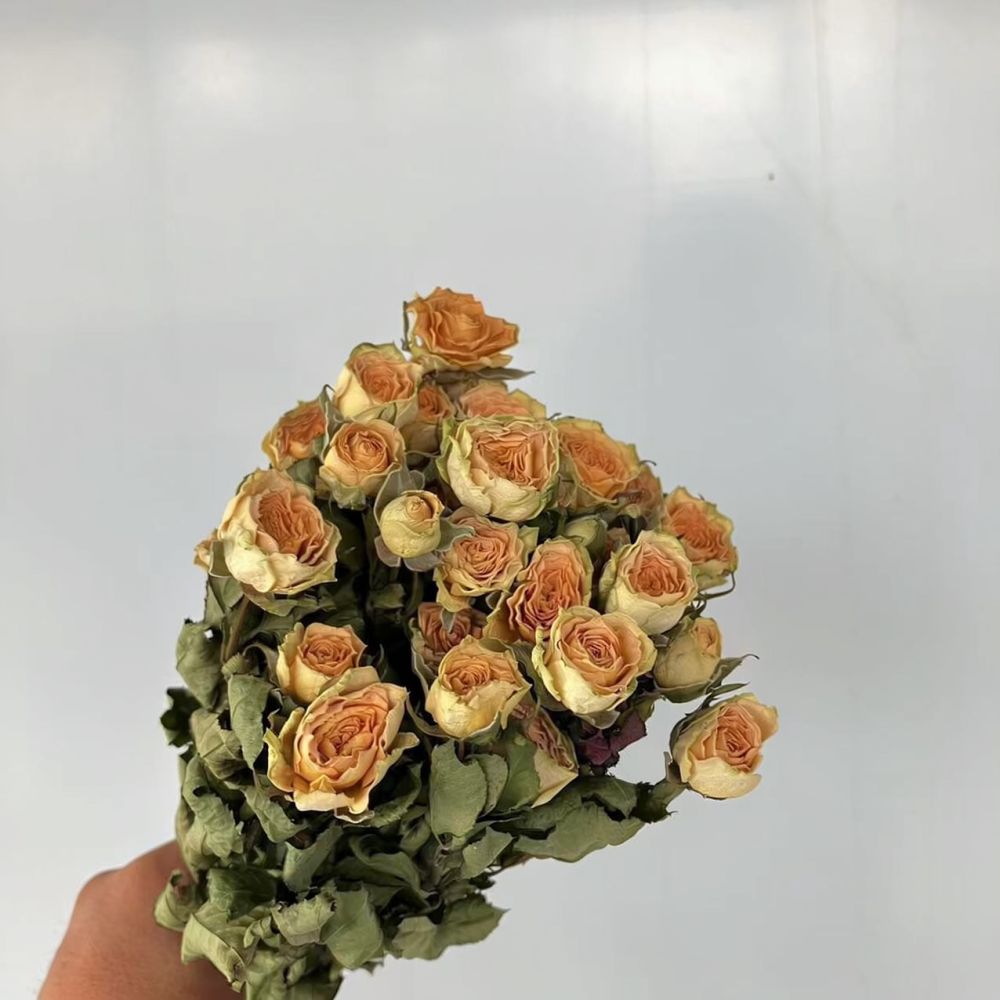 Real Preserved Roses Dried Flo - Resin Art Rose review and price
