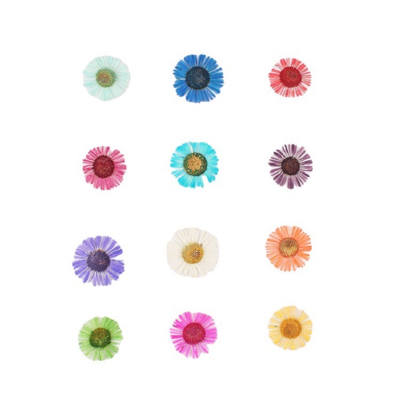 1 Set Pressed Dried Flower Eri - Resin Art Baby review and price