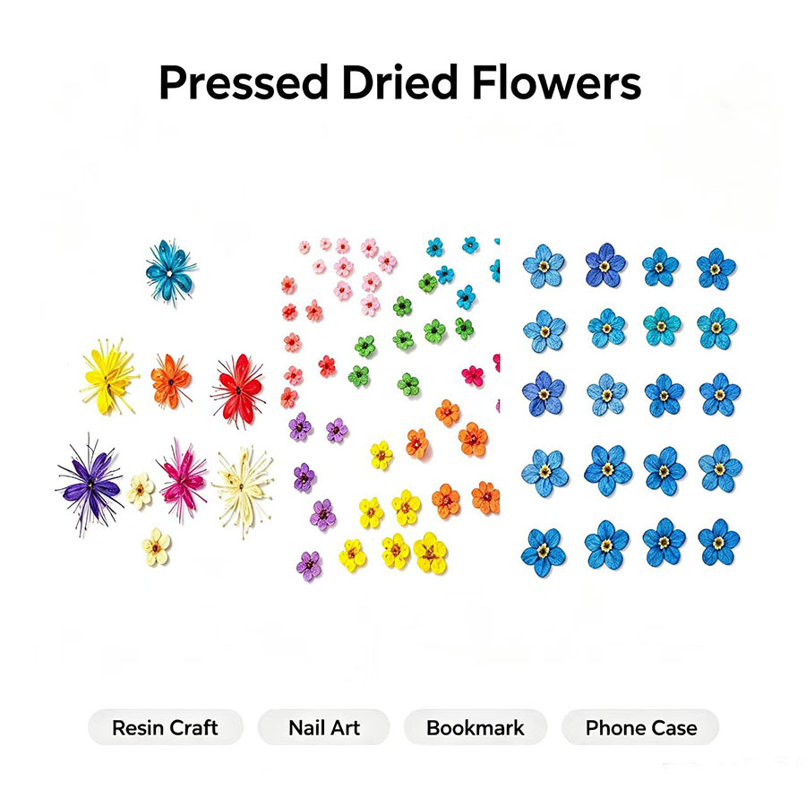 60pcs Mini Pressed Dried Flowe - Resin Art Baby review and price